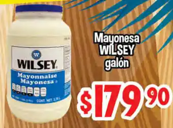 Mayonesa Wilsey Galón