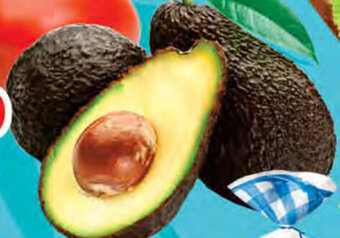 Aguacate Hass