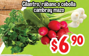 El Florido Cilantro, Rábano o Cebolla Cambray Mazo oferta