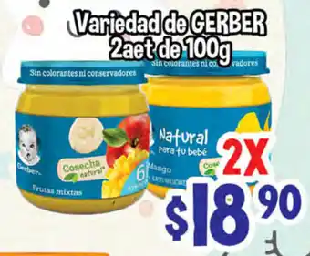 Varieded de Gerber 2aet de 100g