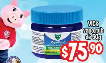 Vick Vpo Rub de 50g