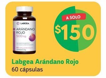 Farmacias YZA Labgea arándano rojo 500mg 60 tabs oferta