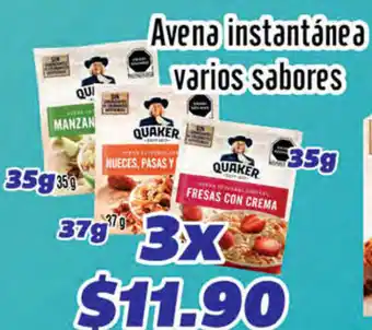 Avena Instanté a Varios Sabores