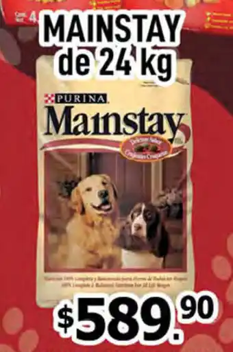 Mainstay de 24kg