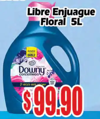 Libre Enjuague Floral Downy 5L