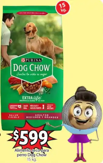 Soriana Express Alimento Seco para Perro Dog Chow 15kg oferta