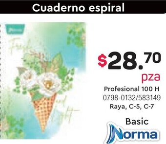 Cuaderno espiral Profesional 100 H