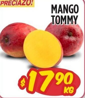 MANGO TOMMY
