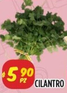 CILANTRO