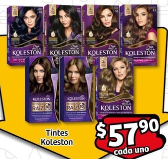 Tintes Koleston