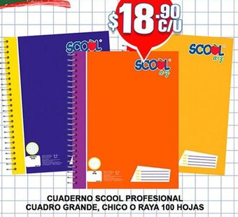 CUADERNO SCOOL PROFESIONAL CUADRO GRANDE, CHICO O RAYA 100 HOJAS