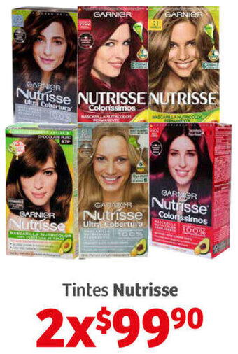 Nutrisse Tintes