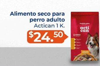 Tiendas Neto Alimento seco para perro adulto actican 1kg oferta