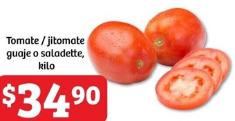 Tomate /jitomate guaje o saladette