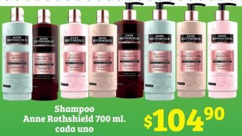 Shampoo Anne Rothshield 700 ml