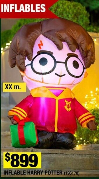 INFLABLE HARRY POTTER XXm
