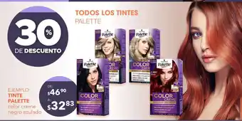 DelSol Todos Los Tintes Palette oferta