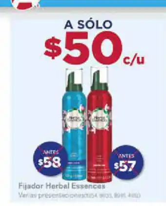 Fijador Herbal Essences