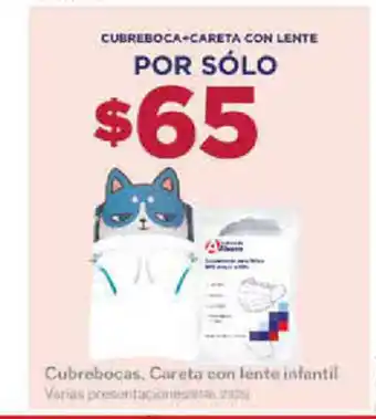 Cubrebocas, Careta Con Lente Infantil