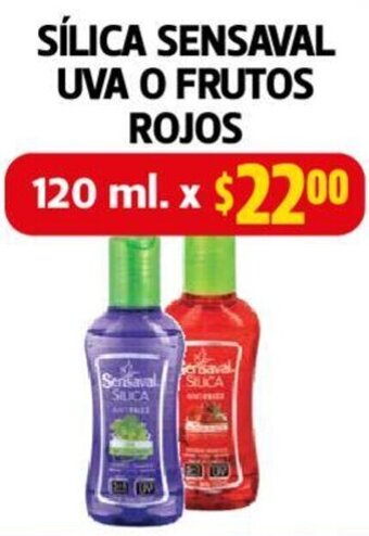 SÍLICA SENSAVAL UVA O FRUTOS ROJOS 120ml