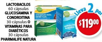 Farmacias Guadalajara LACTOBACILOS 60 cápsulas GLUCOSAMINA Y CONDROITINA 30 cápsulas 0 VITAMINAS PARA DIABÉTICOS 30 cápsulas oferta