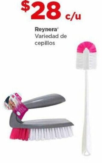 Reynera Variedad de cepillos