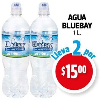 Farmacias Guadalajara AGUA BLUEBAY 1L. oferta