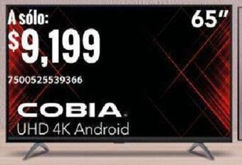 City Club COBIA UHD 4K Android 65" oferta