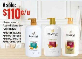 City Club PANTENE Shampoos o Acondicionador oferta