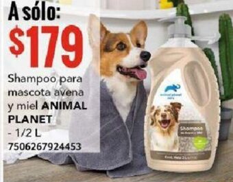 City Club ANIMAL PLANET Shampoo para mascota avena y miel 1/2L oferta