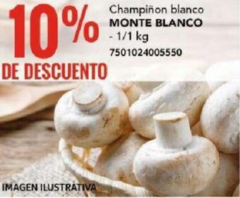 MONTE BLANCO Champiñon blanco 1/1 kg