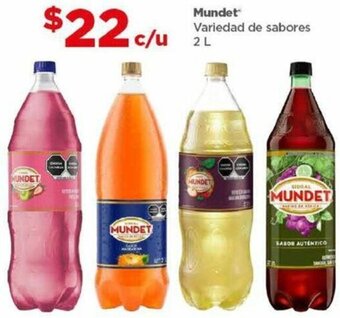 Bodega Aurrerá Mundet Variedad de sabores 2 L oferta