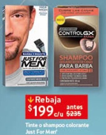 Tinte o shampoo colorante Just For Men