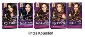 Koleston Tintes