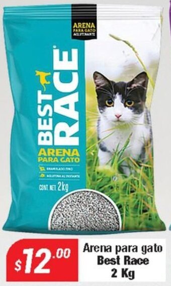 Arena para gato Best Race 2 Kg