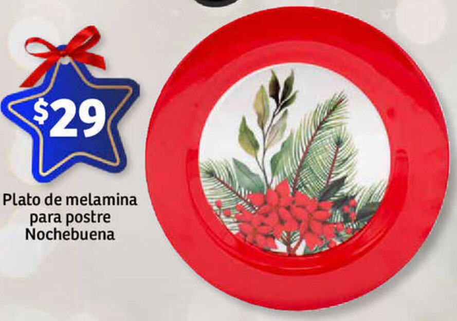 Platos de melamina en chedraui hot sale