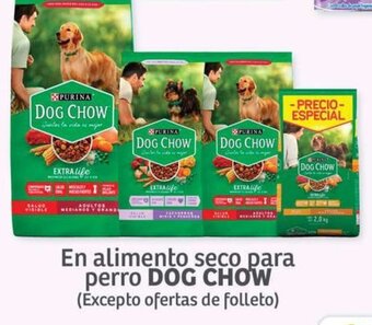 Soriana Híper En alimento seco para perro DOG CHOW (Excepto ofertas de folleto) oferta