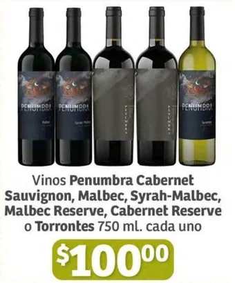 Vinos Penumbra Cabernet Sauvignon, Malbec, Syrah-Malbec, Malbec Reserve, Cabernet Reserve o Torrontes 750 ml. cada uno