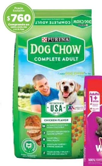 Dog Chow Complete Alimento para perro adulto, razas medianas y grandes 22.7 kg