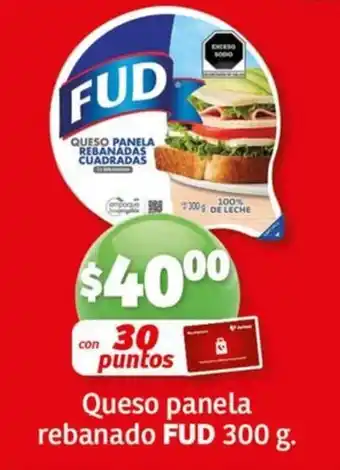 Queso panela rebanado FUD 300 g.
