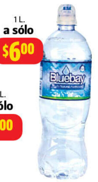 Farmacias Guadalajara Agua Bluebay 1L oferta