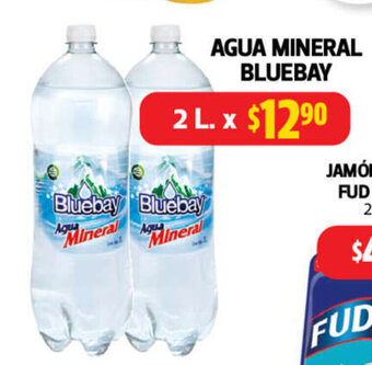 Farmacias Guadalajara Agua Mineral Bluebay 2L oferta