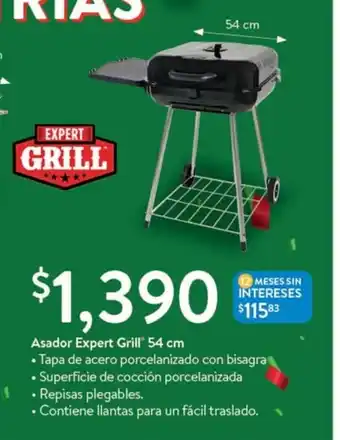 Asador Expert Grill 54cm