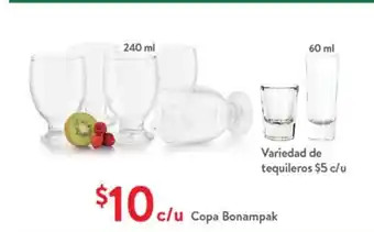Copa Bonampak