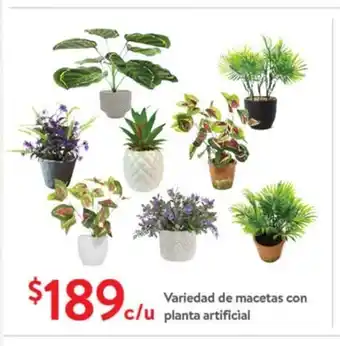 Walmart Variedad de Macetas con planta artificial oferta