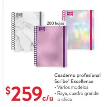 Cuaderno Profesional Scribe Excellence
