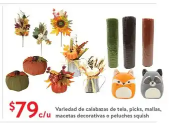 Variedad de calabazas de tela, picks, mallas, macetas decorativas o peluches squish