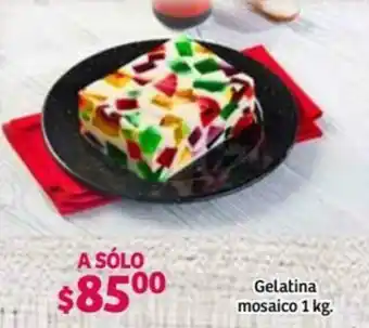 Gelatina Mosaico 1kg