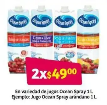 En Variedad de Jugos Ocean Spray 1L
