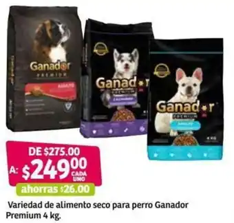 Variedad de Alimento Seco para Perro Ganador Premium 4kg